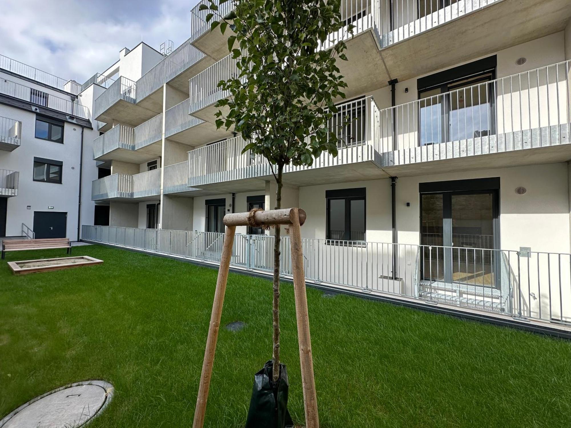 Appartement Schoenbrunn Garden Wenen